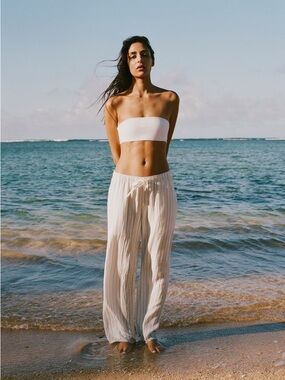 Aritzia Sail Pants (Ashen Gray)